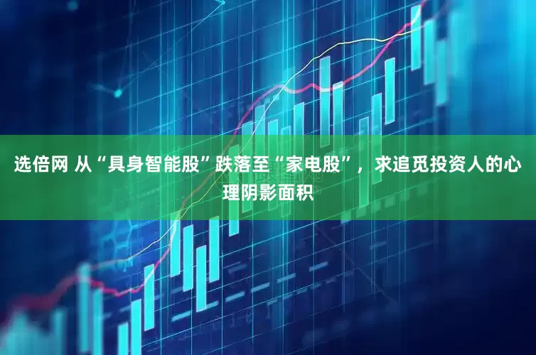 选倍网 从“具身智能股”跌落至“家电股”，求追觅投资人的心理阴影面积