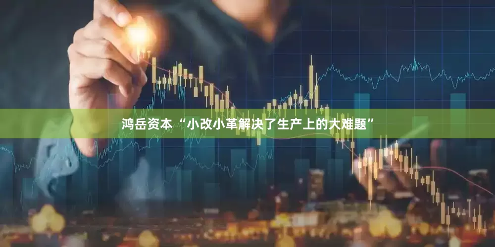 鸿岳资本 “小改小革解决了生产上的大难题”