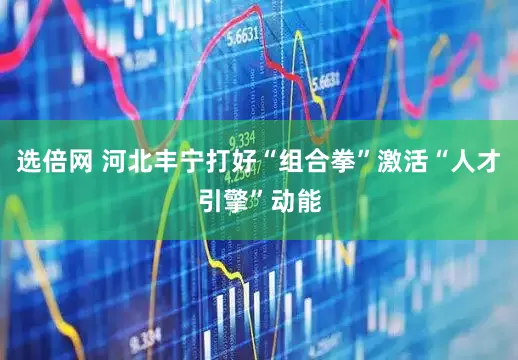 选倍网 河北丰宁打好“组合拳”激活“人才引擎”动能