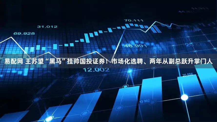 易配网 王苏望“黑马”挂帅国投证券！市场化选聘、两年从副总跃升掌门人
