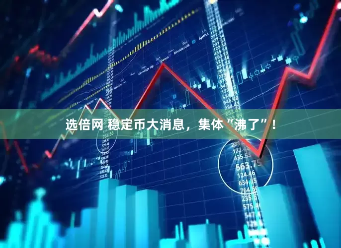选倍网 稳定币大消息，集体“沸了”！