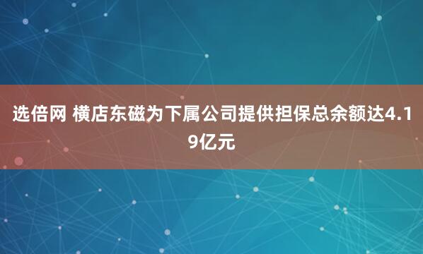 选倍网 横店东磁为下属公司提供担保总余额达4.19亿元
