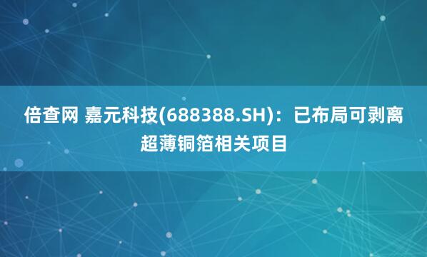 倍查网 嘉元科技(688388.SH)：已布局可剥离超薄铜箔相关项目