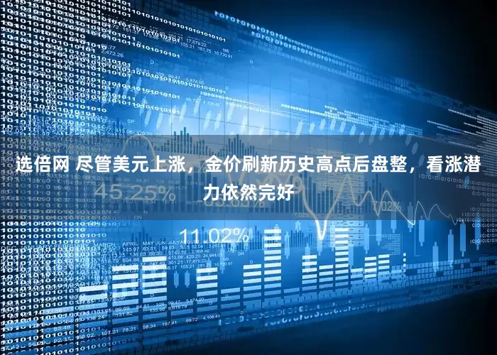 选倍网 尽管美元上涨，金价刷新历史高点后盘整，看涨潜力依然完好