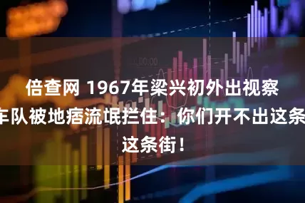倍查网 1967年梁兴初外出视察，车队被地痞流氓拦住：你们开不出这条街！