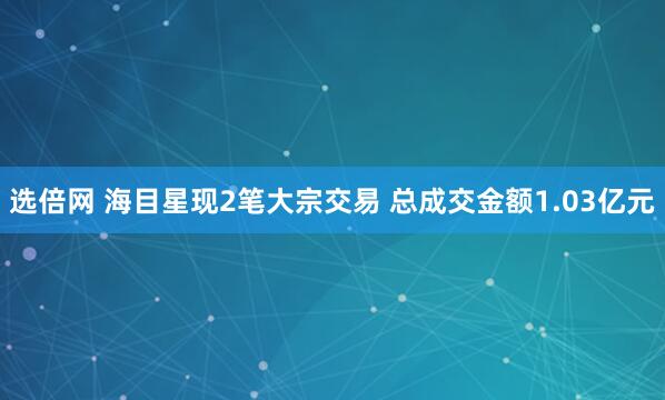 选倍网 海目星现2笔大宗交易 总成交金额1.03亿元