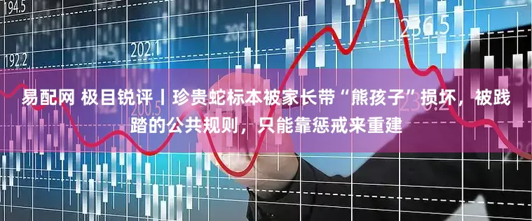 易配网 极目锐评丨珍贵蛇标本被家长带“熊孩子”损坏，被践踏的公共规则，只能靠惩戒来重建